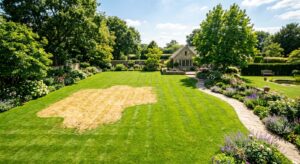 A high-angle professional photography shot of a lush green lawn with a distinctly visible, withered